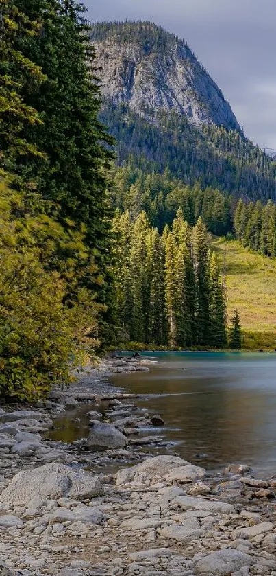 Scenic mountain lake with forest and rocky shore.