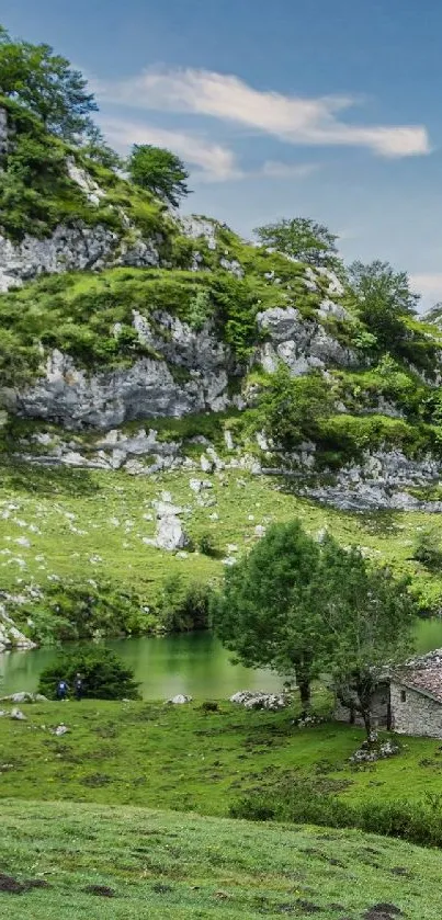 Scenic lake and mountain view wallpaper with greenery.