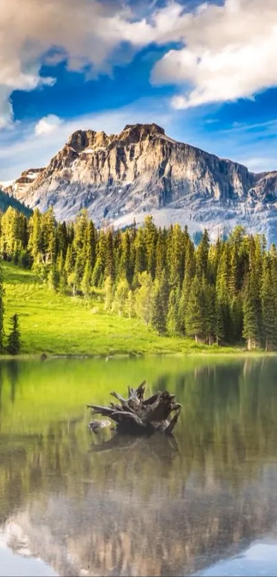 Tranquil mountain lake with forest and cliffs, perfect for a calming wallpaper.