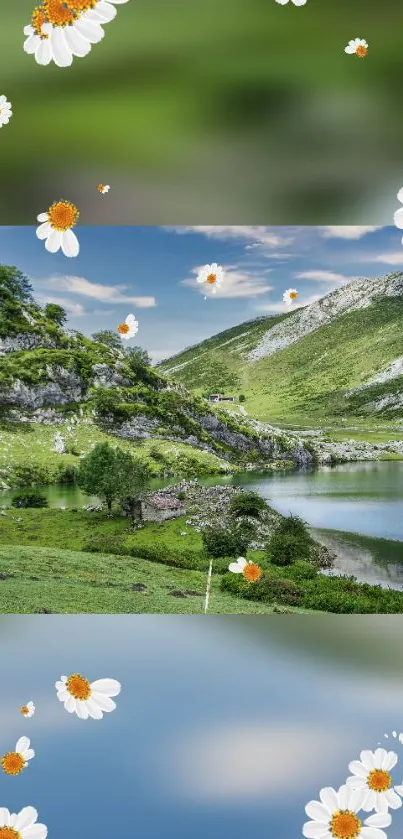 Scenic mountain lake with daisies floating around.