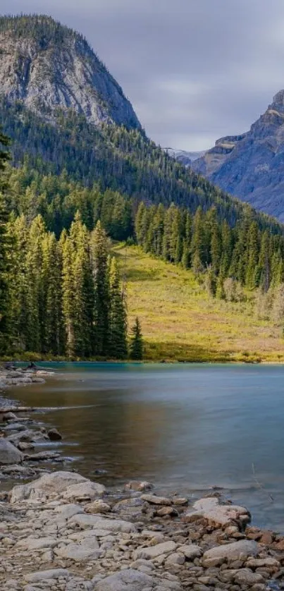 Serene mountain lake with lush forest backdrop.