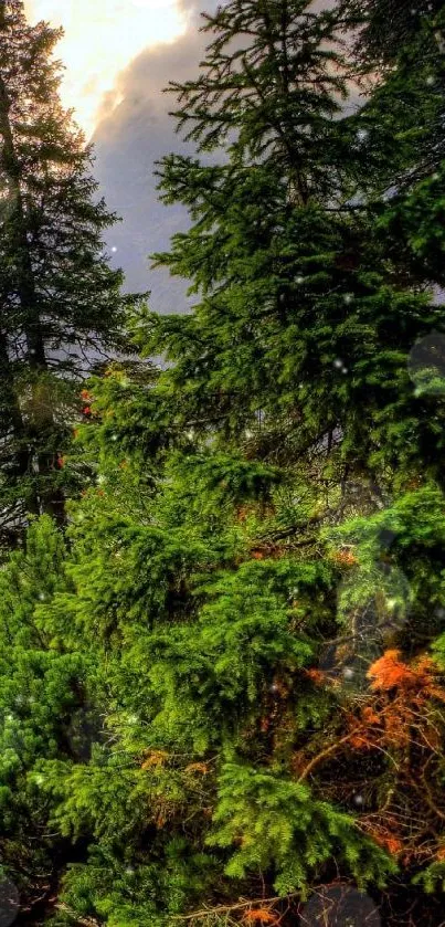 Vibrant green mountain landscape with trees.