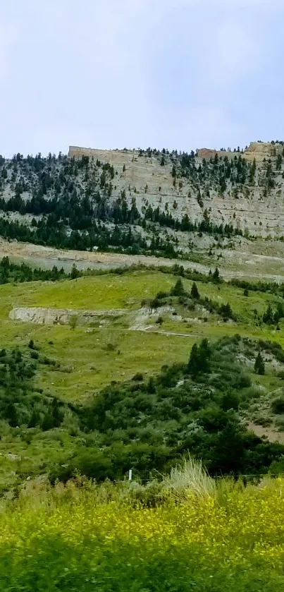 Beautiful green mountain landscape with rocks.