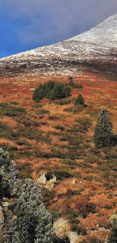 Snow-capped mountain with forest and autumn hues in a scenic wallpaper.