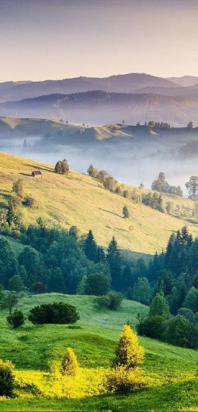 Serene mountain landscape with misty hills and lush greenery.