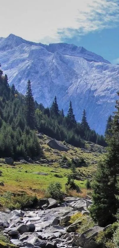 Scenic mountain landscape with forested valley.