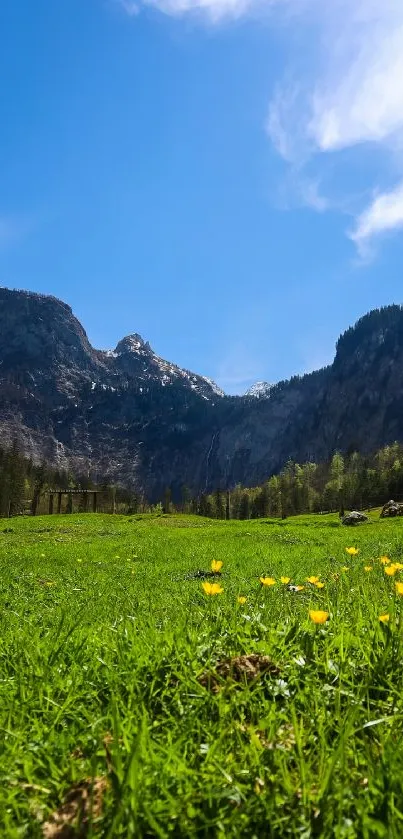 Scenic meadow with mountains and blue sky background.