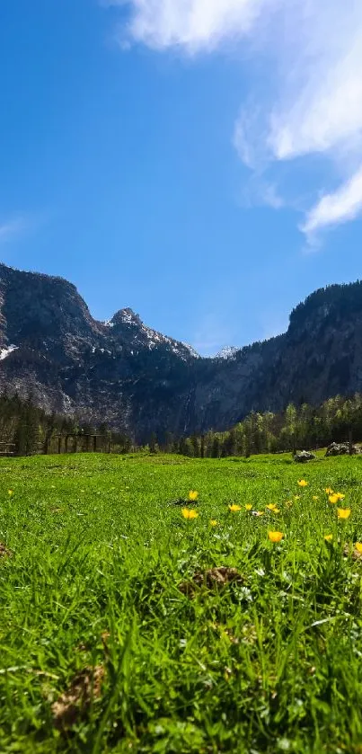 Scenic wallpaper with mountains, meadow, and blue sky.