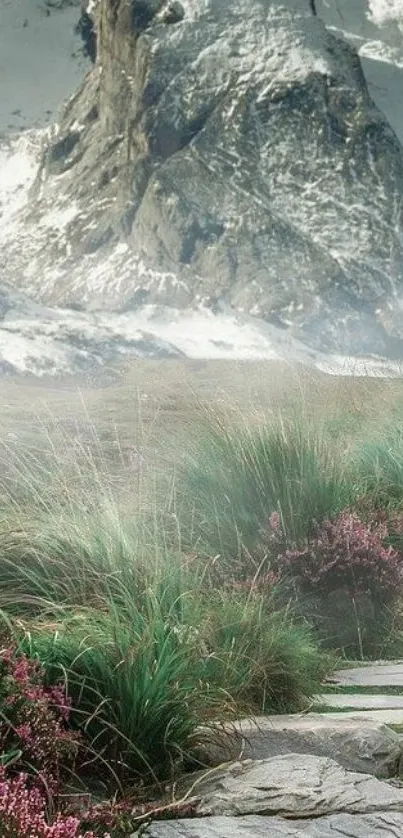 Serene mountain path with snowy peak and wildflowers.