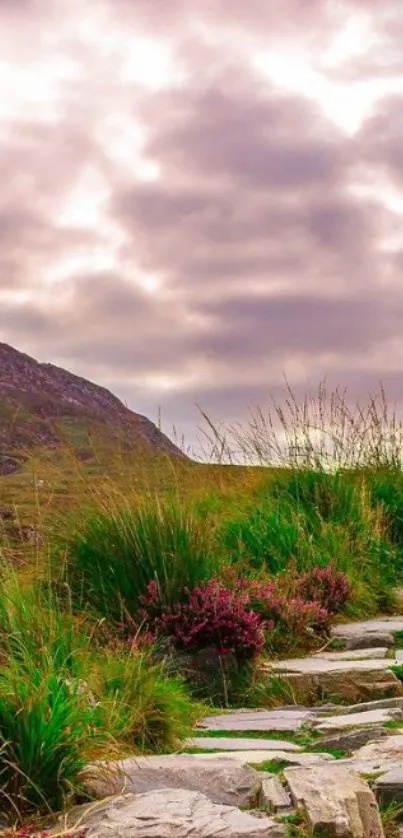 Serene mountain path with cloudy sky and vibrant greenery.