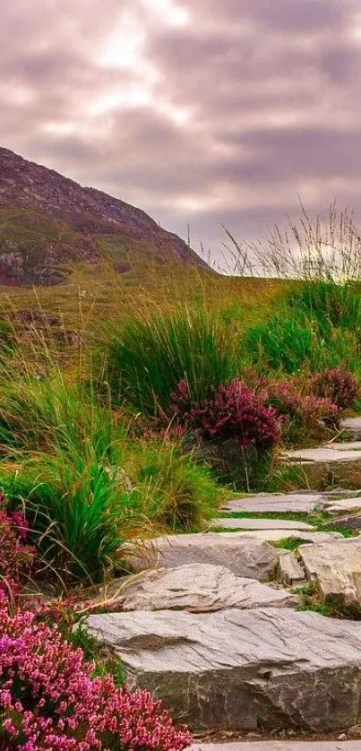 Scenic mountain path with greenery and flowers.