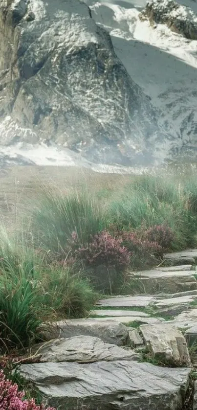 Path leading through lush greenery to snowy mountains.