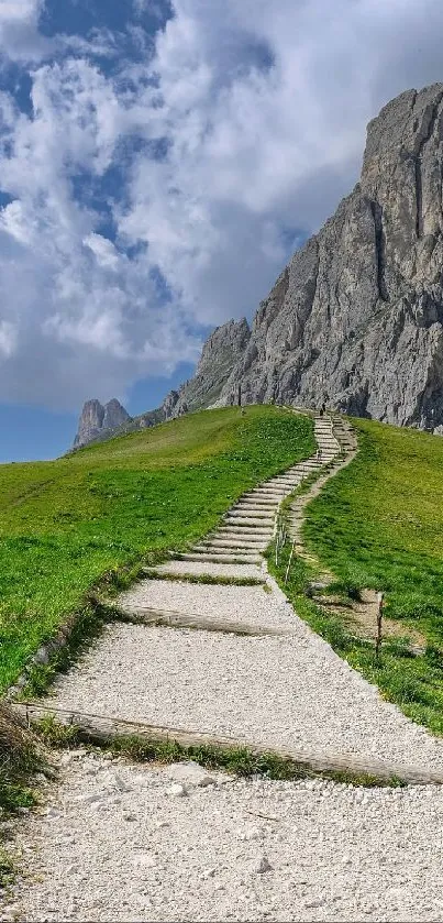 Mountain pathway under cloudy sky, surrounded by greenery.