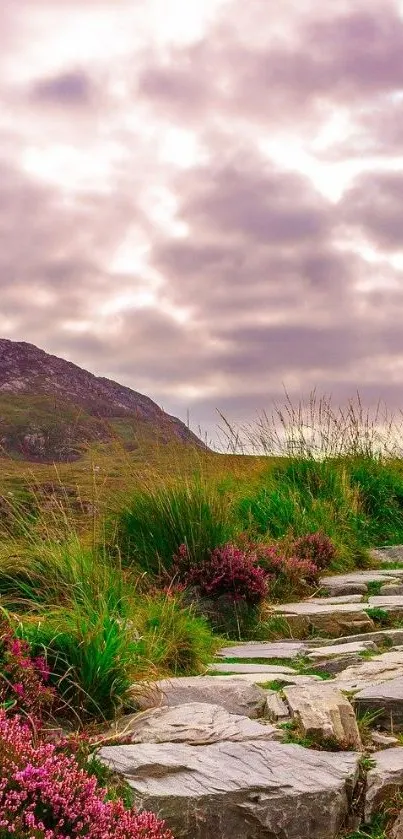 Scenic mountain pathway with cloudy sky and vibrant grass.