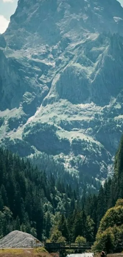 Majestic mountain view with river and forest.