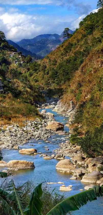 Scenic mountain river flowing through lush green valley.