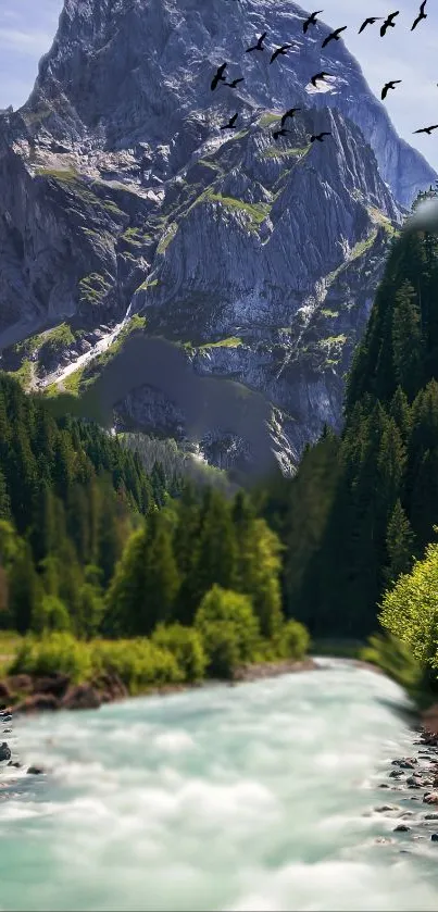 Majestic mountain river scene with lush green forest.