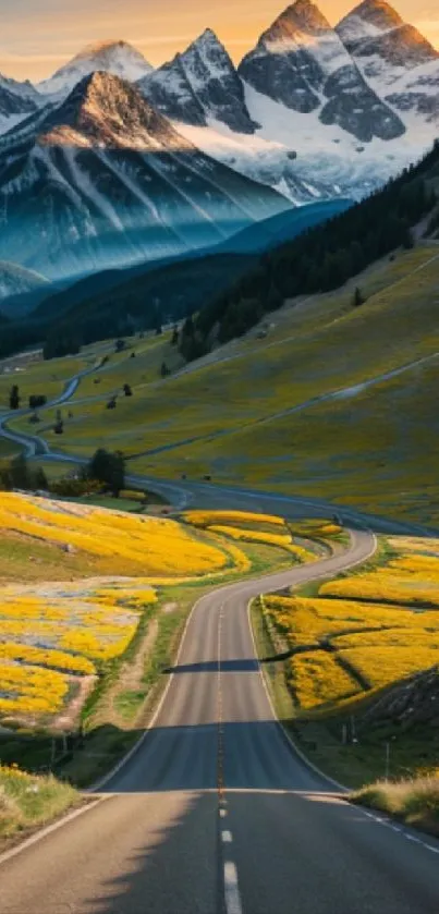 Breathtaking mountain road winding through yellow wildflower meadows.