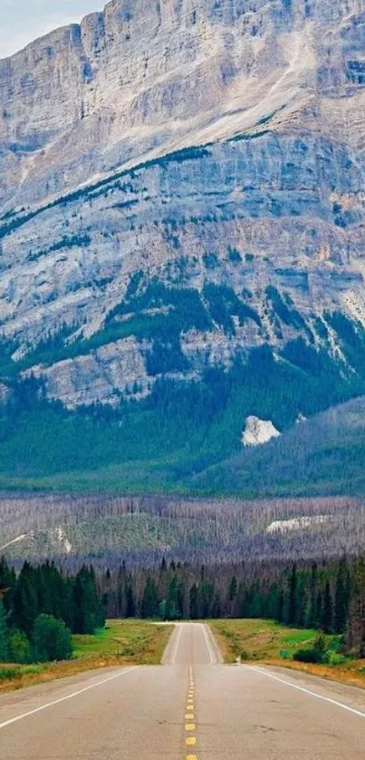 Scenic road leading to towering blue mountains and lush forests.