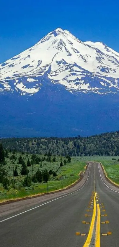 A scenic road leading to snowy mountains under a clear blue sky.