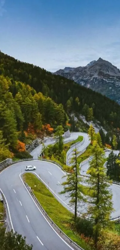 Winding road through a lush green mountain landscape with autumn colors.