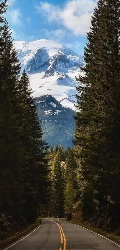 Winding road through pine trees with a mountain view.