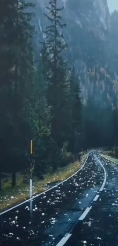 Scenic mountain road with evergreen trees and mist.