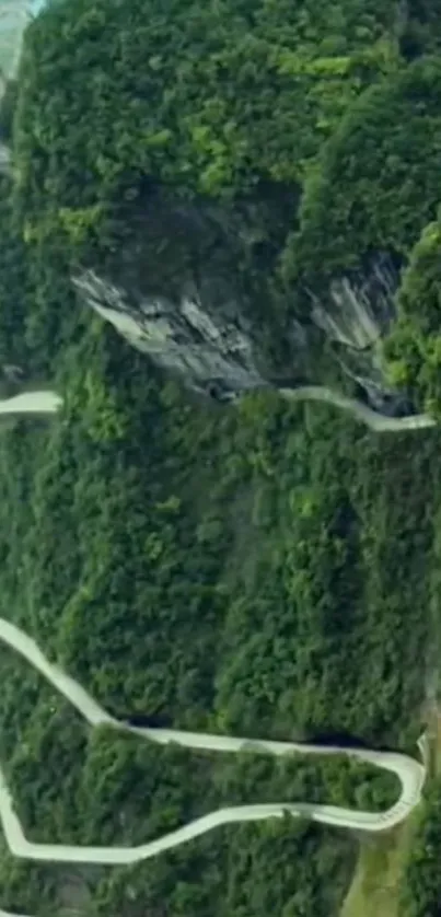 Serene winding road through lush green mountains.