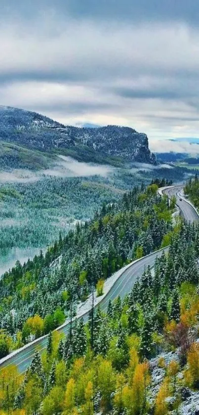 Scenic road through lush mountain forest under a cloudy sky.