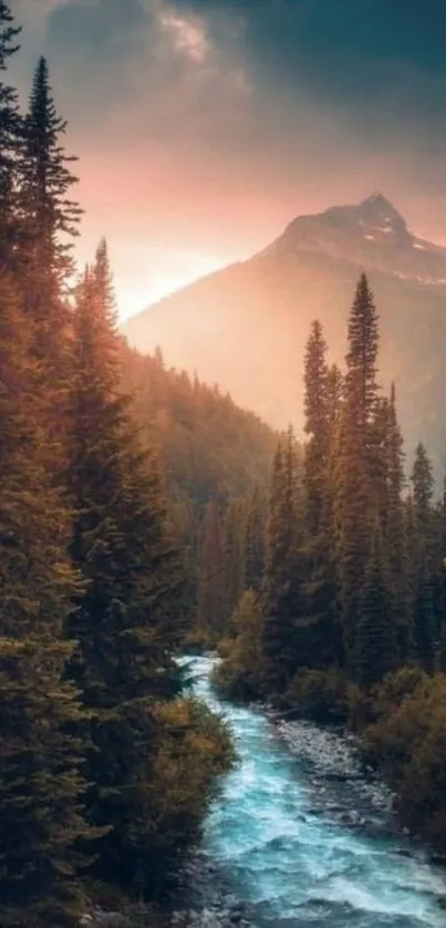 Scenic mountain stream with vibrant sunrise and lush pine forest.