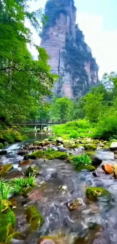 A scenic mountain stream flowing through lush greenery with towering cliffs.