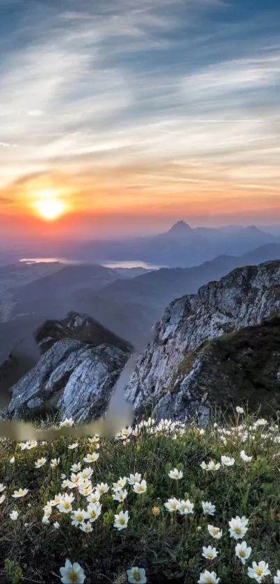 Beautiful sunset over a mountain range with flowers in the foreground.