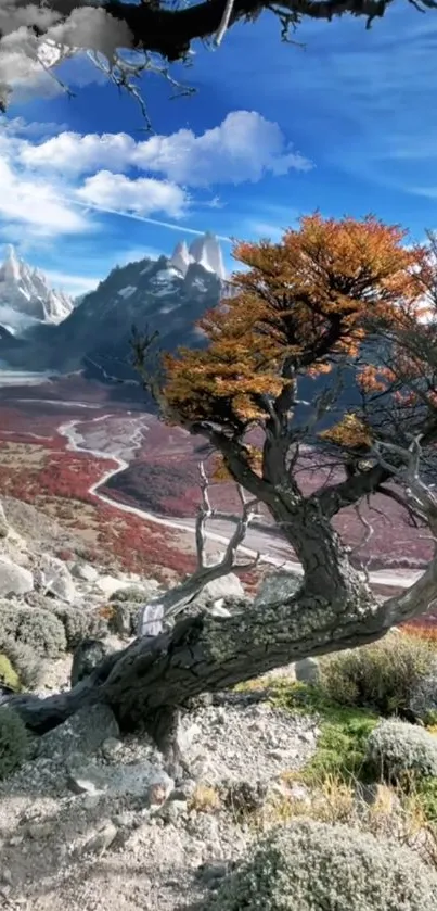 Scenic view of a twisted tree and mountains in autumn.