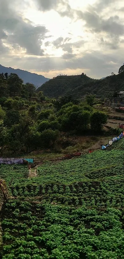 Scenic view of a lush mountain valley under a cloudy sky.