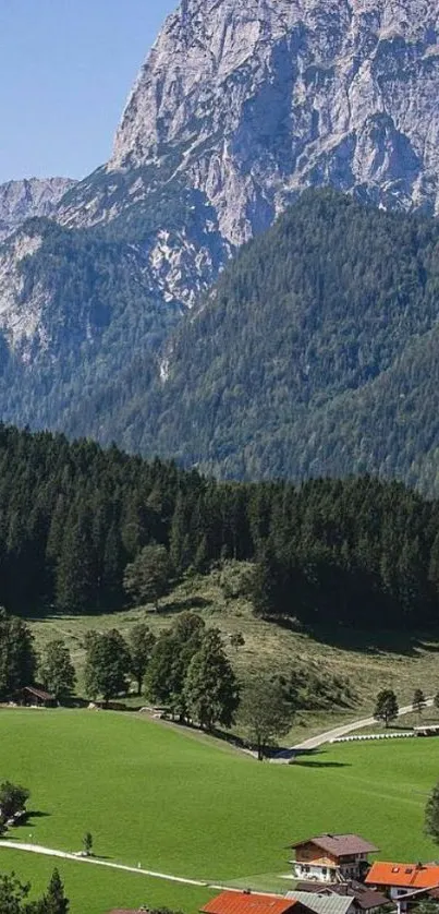 Scenic mountain valley with lush greenery.