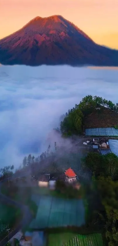 Breathtaking mountain view above clouds with lush greenery and misty scenery.