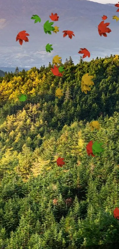 Lush green mountain forest with scenic beauty under a clear sky.