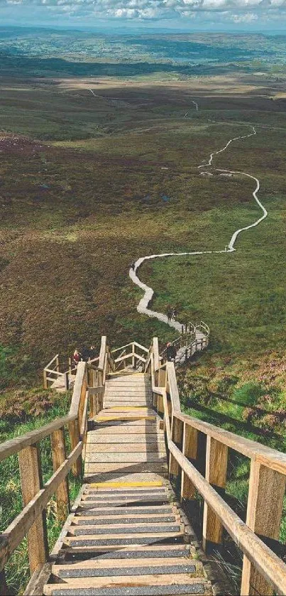 Scenic boardwalk path through lush green landscape.