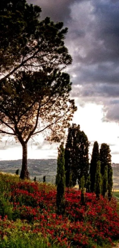 Scenic landscape with trees and wildflowers under a dramatic sky.