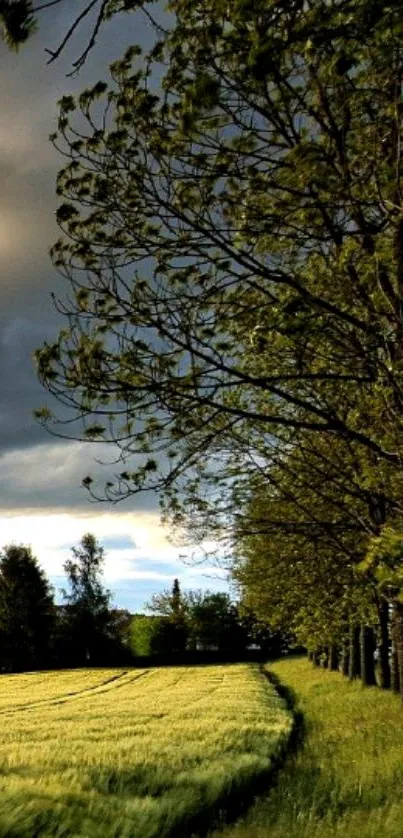 Lush green fields with tree line and dramatic sky.