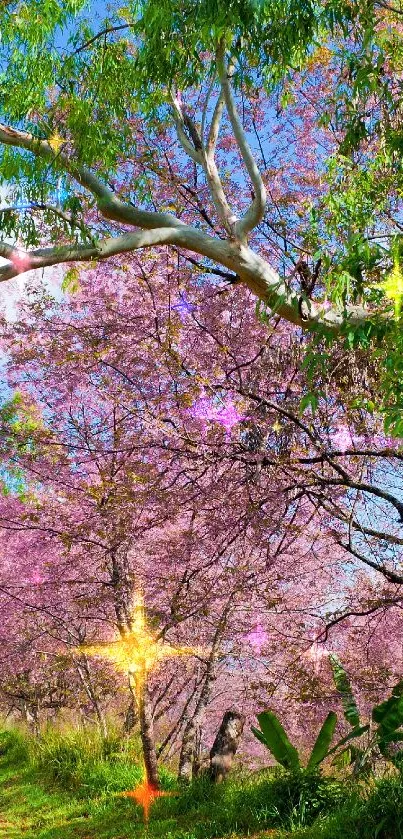 A vibrant path surrounded by green trees and pink blossoms under a blue sky.