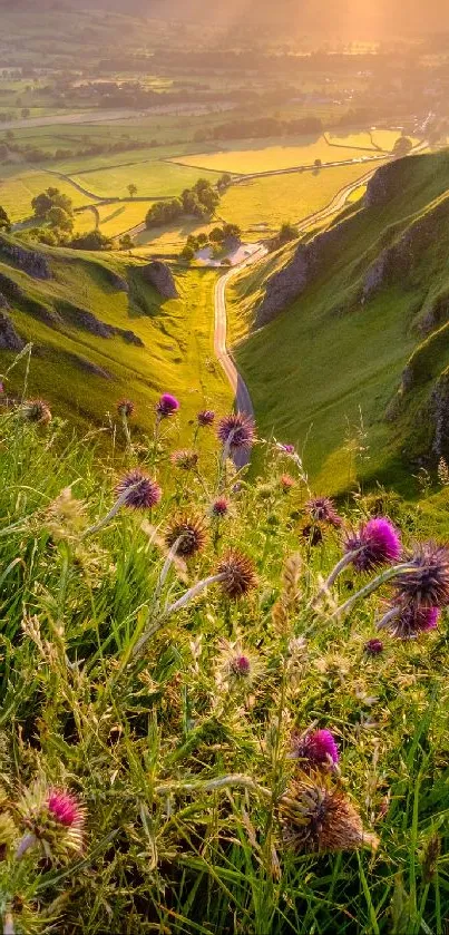 Serene valley with wildflowers and sunlight, ideal for nature wallpaper.