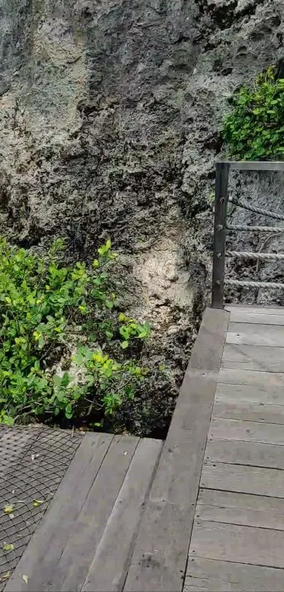 Scenic nature walkway with greenery and rocks.