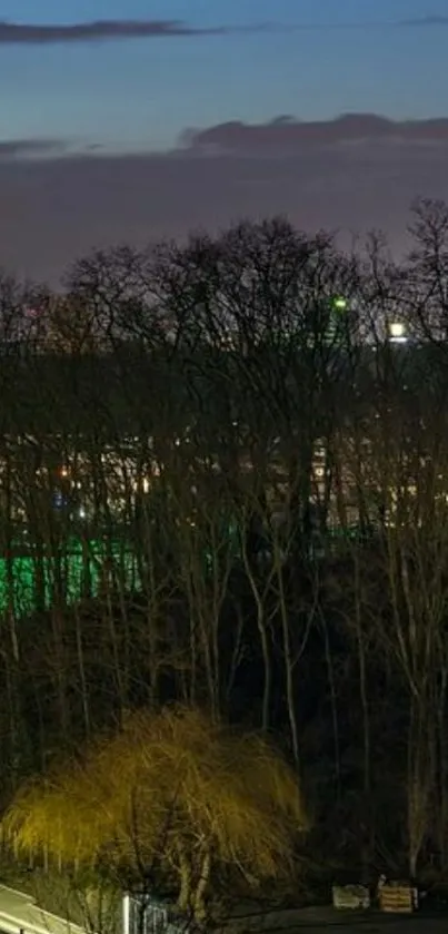 Scenic cityscape at night with vibrant lights and twilight sky.