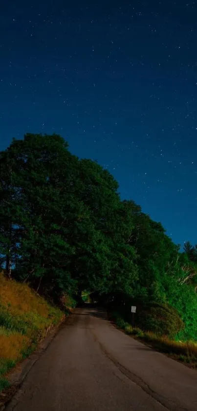 Peaceful night road with stars and green trees under a deep blue sky.