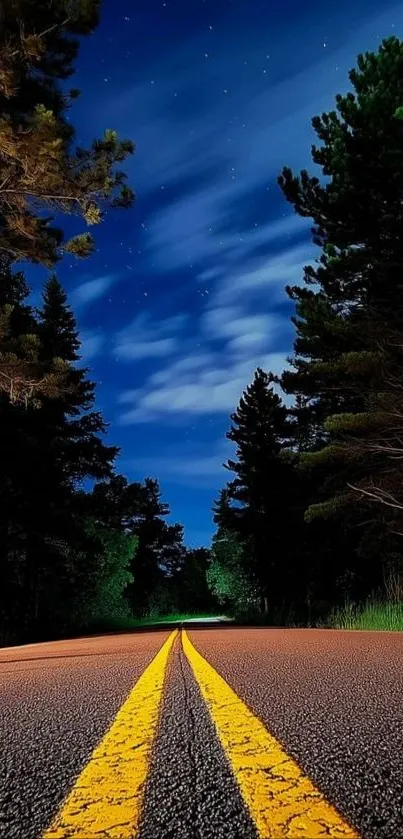 Night road with starry sky and trees.