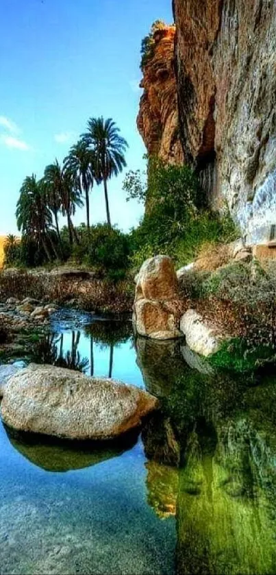 Scenic oasis with palm trees and a tranquil water reflection.