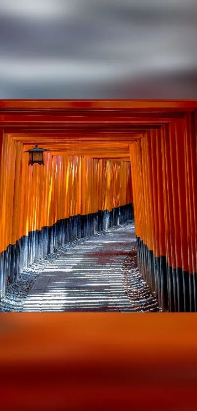 Vibrant orange tunnel pathway mobile wallpaper with natural light.