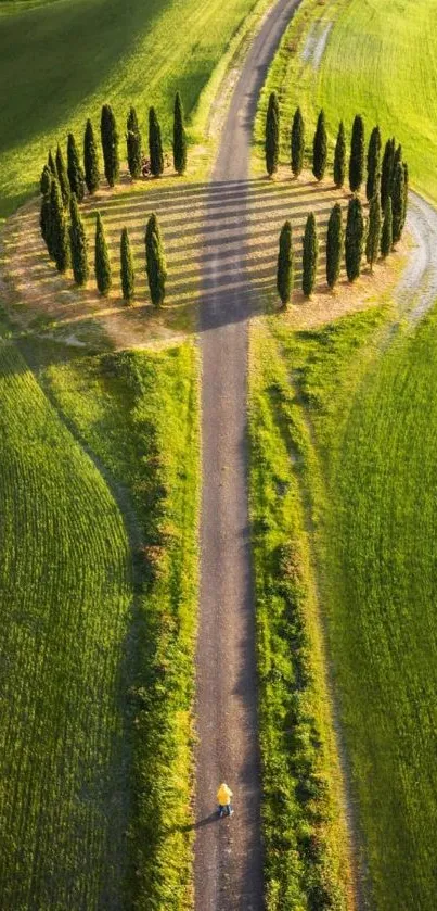 Aerial view of a pathway lined with trees in expansive green fields.