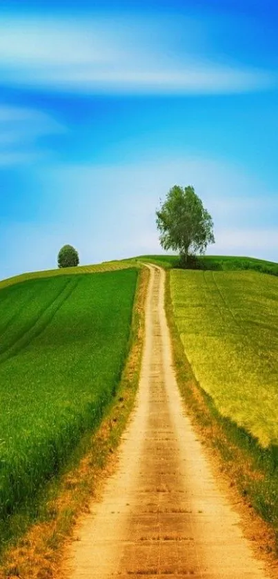 A dirt path leads through green fields under a vibrant blue sky.